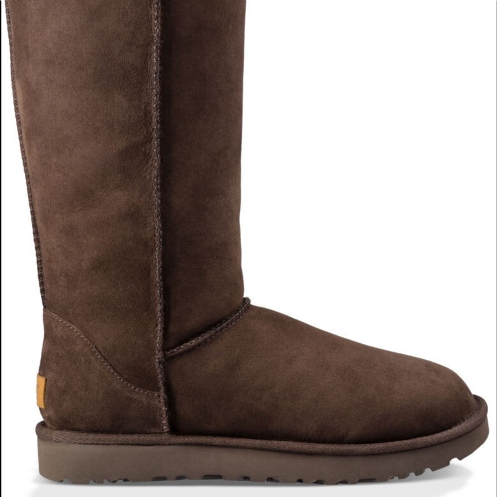 Tall Brown Uggs
